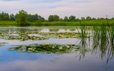 Park prirode Lonjsko polje: europsko selo roda i posavska poplavna divljina