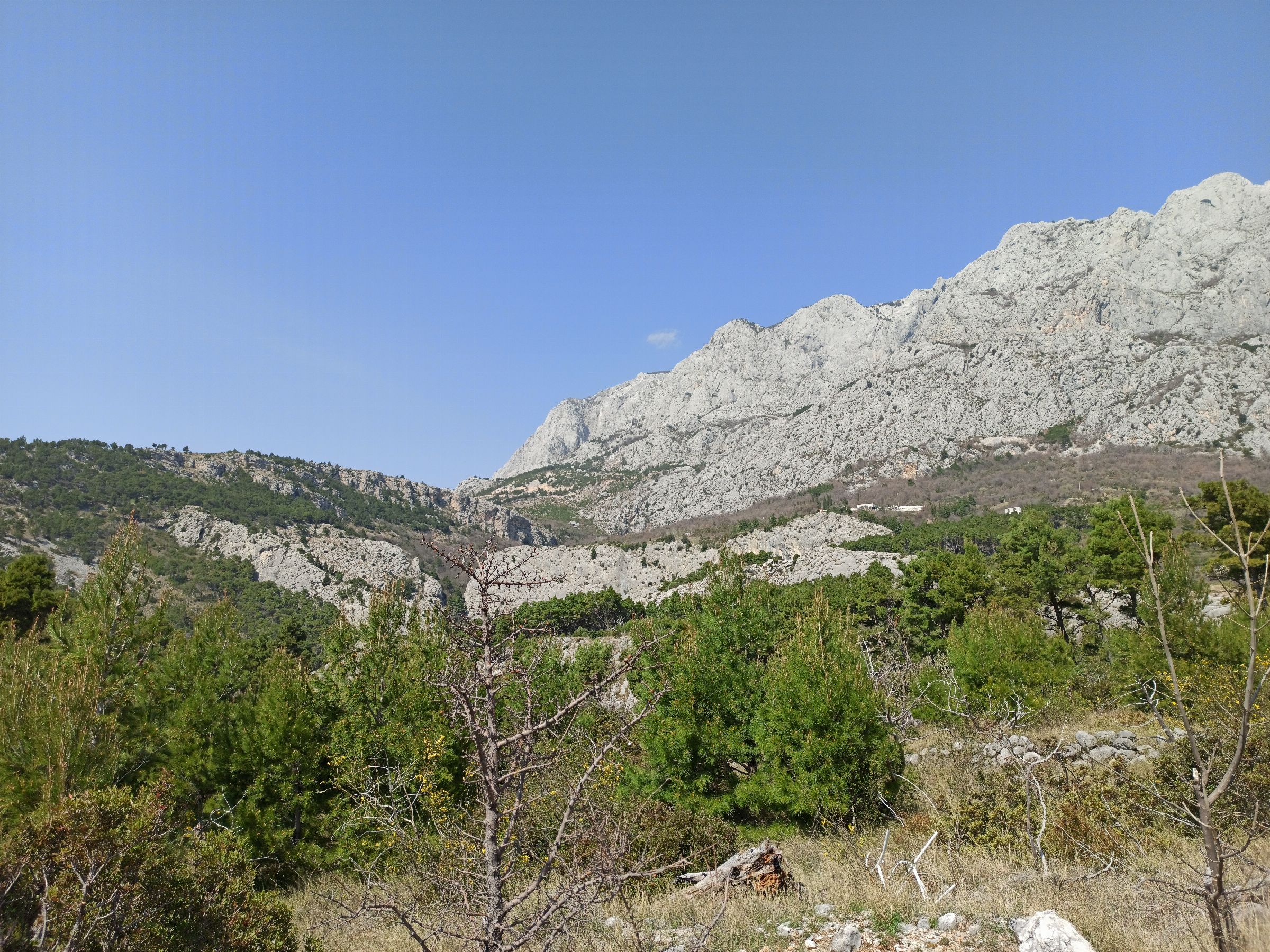 Biokovo Nature Park: the mountain with its feet in the sea and its brow in the clouds