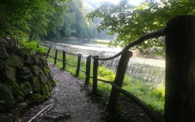 Papuk Nature Park: the green heart of Slavonia and Croatia's first geopark