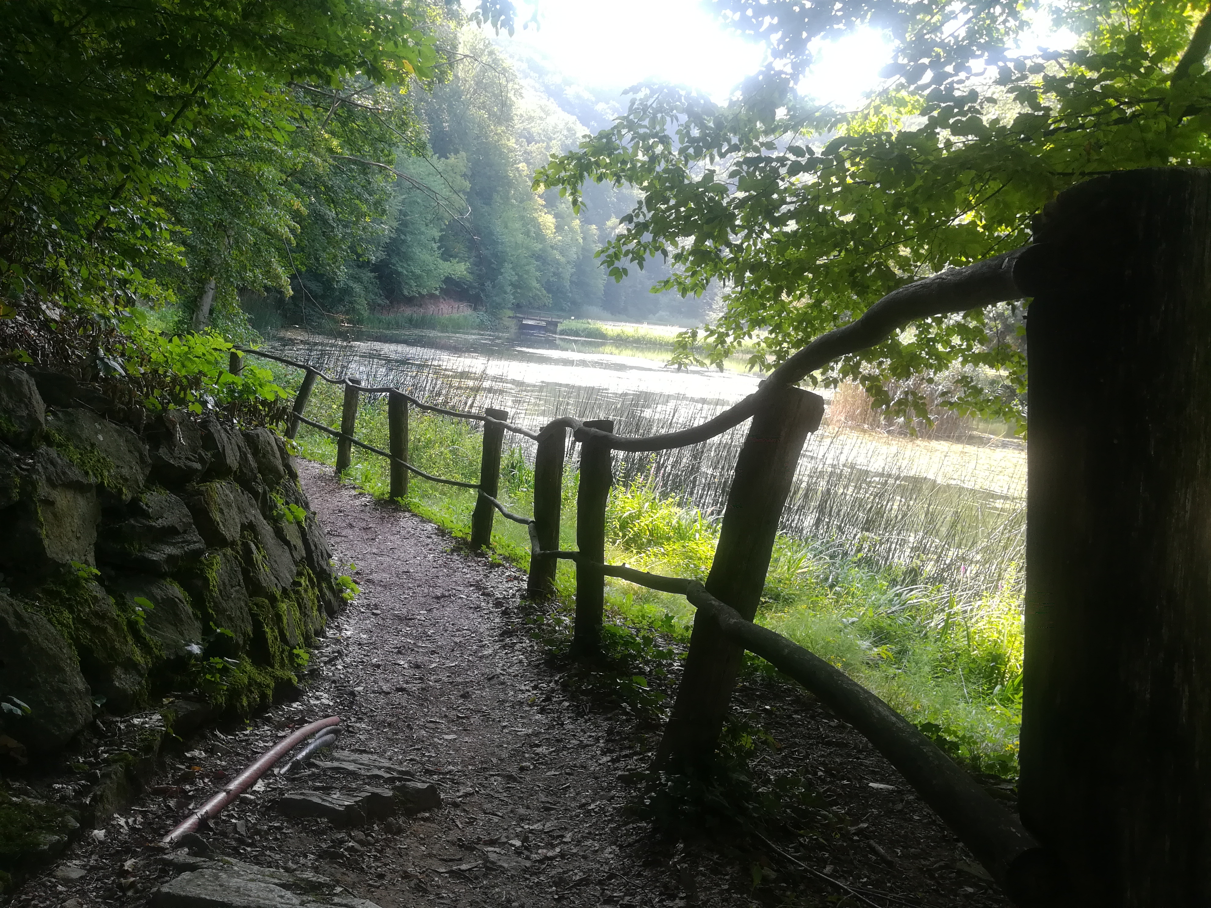 Papuk Nature Park: the green heart of Slavonia and Croatia's first geopark